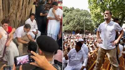 From climbing barricades to Akashvani Bhawan twist: High drama at Rahul-led CEC protest - how it unfolded