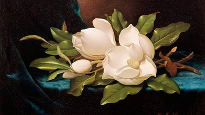A Wisconsin bargain hunter paid just $29 for a flower painting at a rummage sale; about a decade later it was authenticated as a Martin Johnson Heade and sold at Christie’s for $882,500