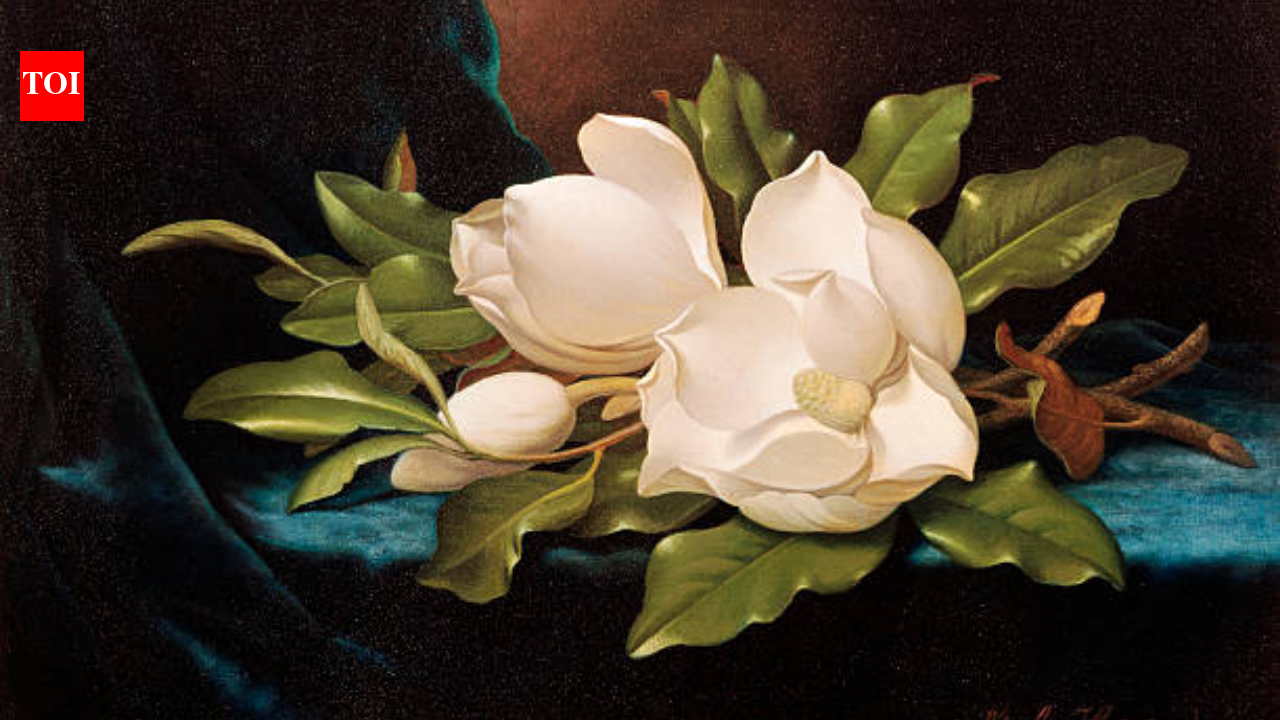 Wisconsin bargain hunter paid $29 for painting; later identified as Heade, sold for $882,500