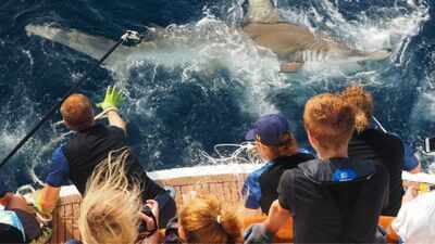 Two sisters turned their childhood love of the ocean into a 65-foot research yacht; students now tag sharks and study plankton alongside marine scientists