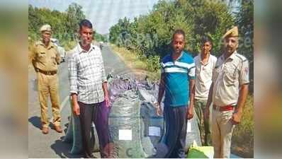 Chittor police seize 574 kg illegal opium from tempo carrying wheat
