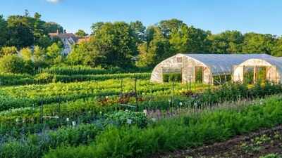 After more than six generations of family ownership, a Massachusetts nonprofit raised over $4.9 million to buy 5.23-acre Holly Hill Farm and permanently protect the centuries-old piece of farmland