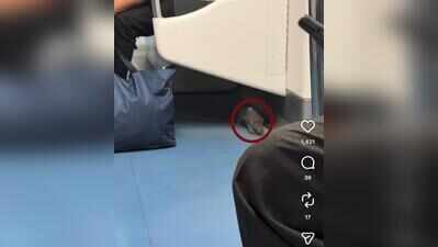 Rat boards Bengaluru’s Namma Metro, internet pokes fun