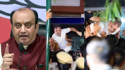 'Expert in theatrics': BJP its out at Rahul Gandhi over protest 'drama', row over meeting EC