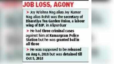 Pay Rs 5.4 lakh to tea garden worker for 2-month illegal detention after being granted bail: Calcutta High Court to state