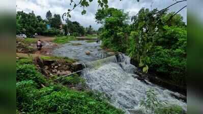 NGT directs PMC, PMRDA, Gram Panchayats to repair chambers to curb Ramnadi pollution in two months
