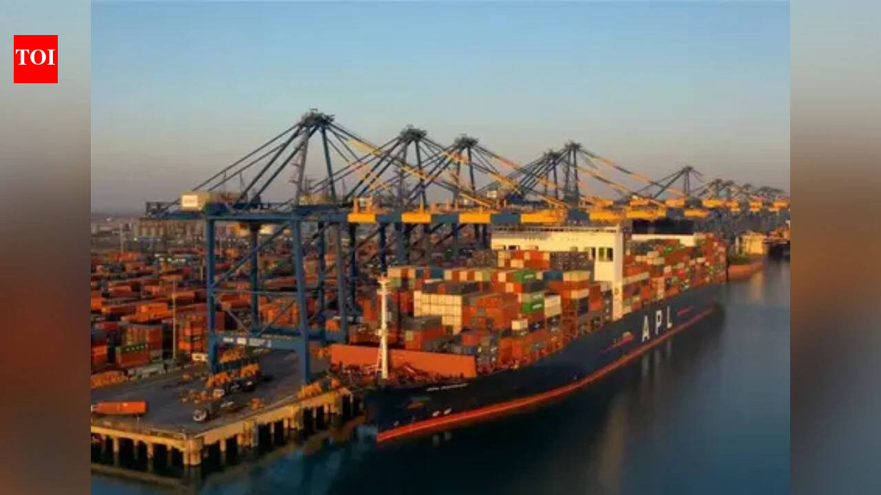Export Cargo To Russia: Adani airports stop processing export cargo to ...