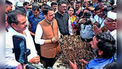 Maharashtra drought panchnamas to be complete by Oct 12, says minister Bharne