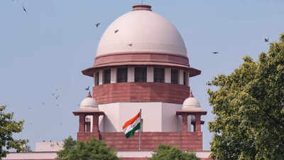 Punjab government moves Supreme Court against CBI probe into 'bribe syndicate' linked to CM Bhagwant Mann's OSD