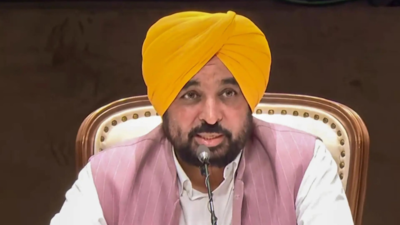 ED summons Punjab CM Bhagwant Mann kin in 5 crore graft case