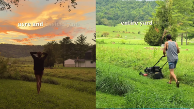 "Take the things we all love about State Parks and recreate them on a tiny scale at home": Meet the couple who built a backyard "state park" on a budget and attracts butterflies, hummingbirds and deer