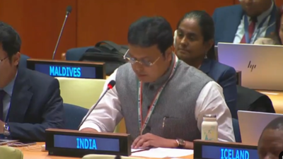'Unable to distinguish between victim & perpetrator': India tears into OIC over J&K remarks at UN