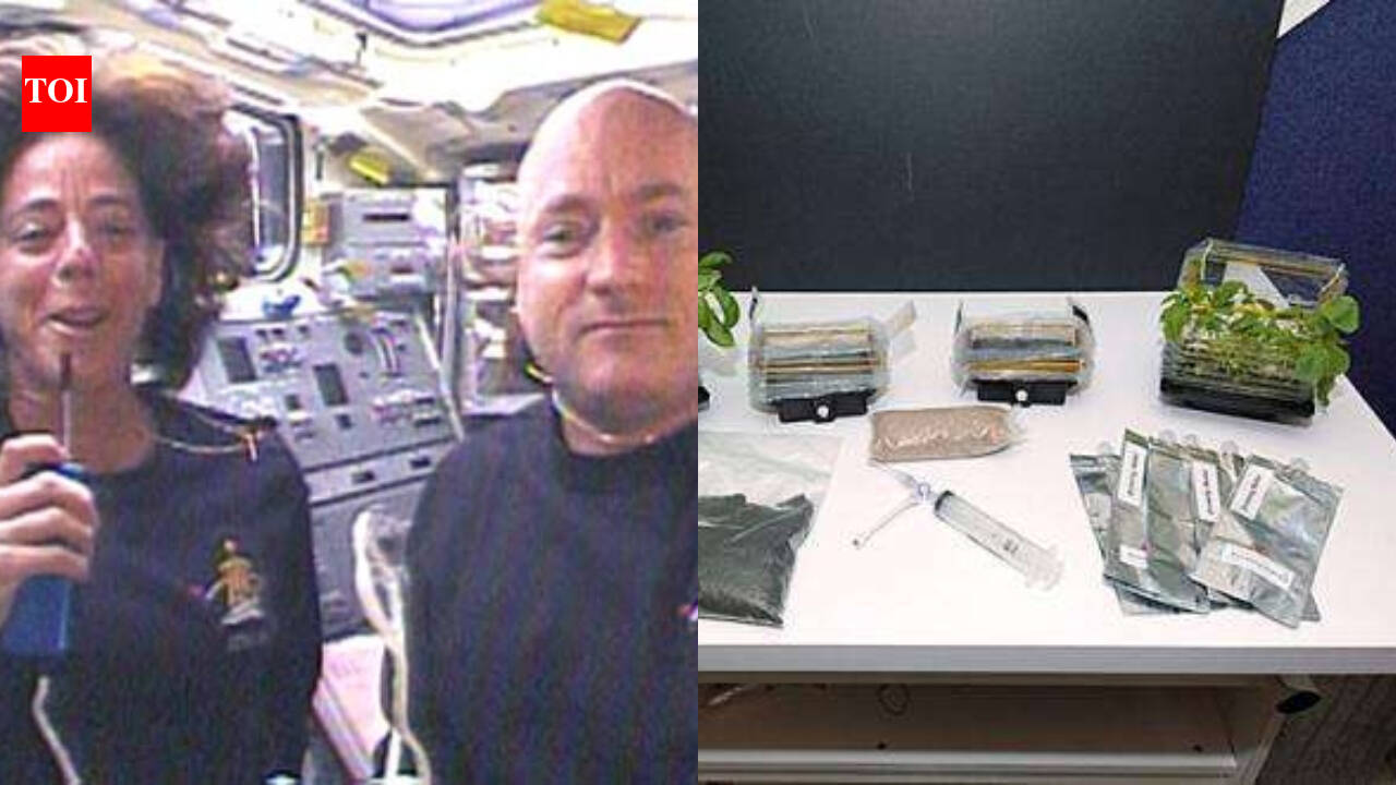 NASA sent 10 million basil seeds to space, inspiring nearly 1 million students
