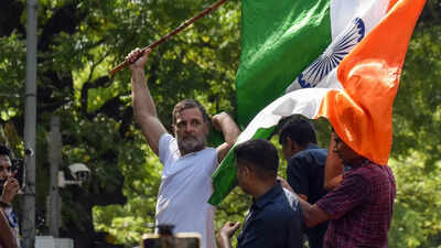 'FIRs are like medals, I want 100': Rahul Gandhi ups ante against Gyanesh Kumar, seeks resignation