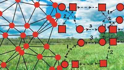 Scientists build a tiny wireless device that records animal brains in the wild; it is lighter than a US dime