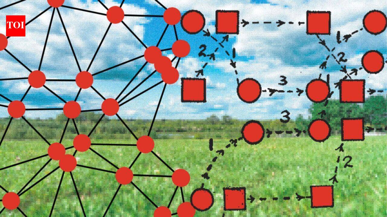 Tiny wireless device records animal brains in the wild, lighter than a dime