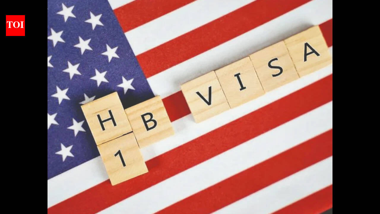 'Unfortunately, the H-1B program has become...': Republican lawmaker from Georgia writes to Trump administration, says his own district is a visa abuse hotspot