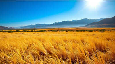 This Arizona ranch spans 114,000 acres and has stayed with one family for nearly 80 years; now it is listed for $43 million
