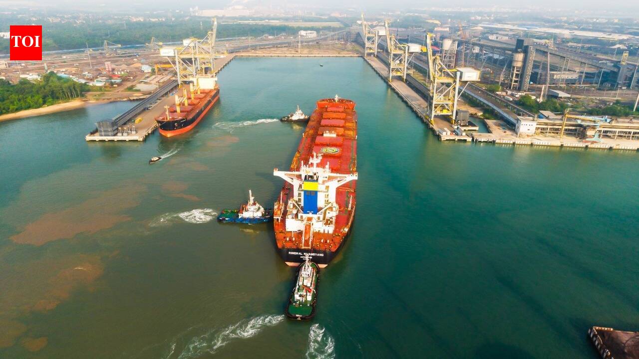 Paradip named mega port, launches major expansion drive | Bhubaneswar ...