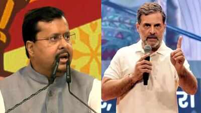 'LoP working with anti-social elements': BJP as Rahul Gandhi, opposition MPs continue anti-CEC protests