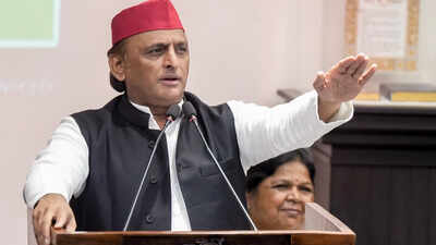 'We could sit down to eat samosas': Akhilesh Yadav on not attending Kharge's INDIA bloc lunch