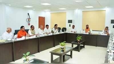 CM meets NDA netas, discusses strategy for Oct 23 council polls
