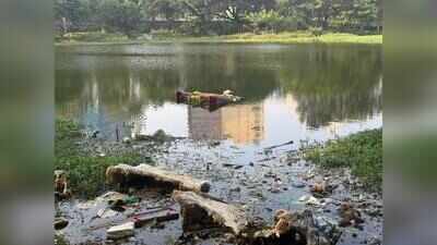 East Bengaluru lake volunteers seek patrolling, action against littering