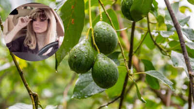 In 2007, Sandra Bullock paid $2.725 million for 91 acres near San Diego; she renovated the adobe ranch and built an organic farm with about 1,200 avocado trees before selling the property for $5.6 million