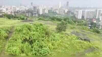 Chhatrapati Shivaji Maharaj naval memorial planned at Kachore-Netivali hill in Kalyan