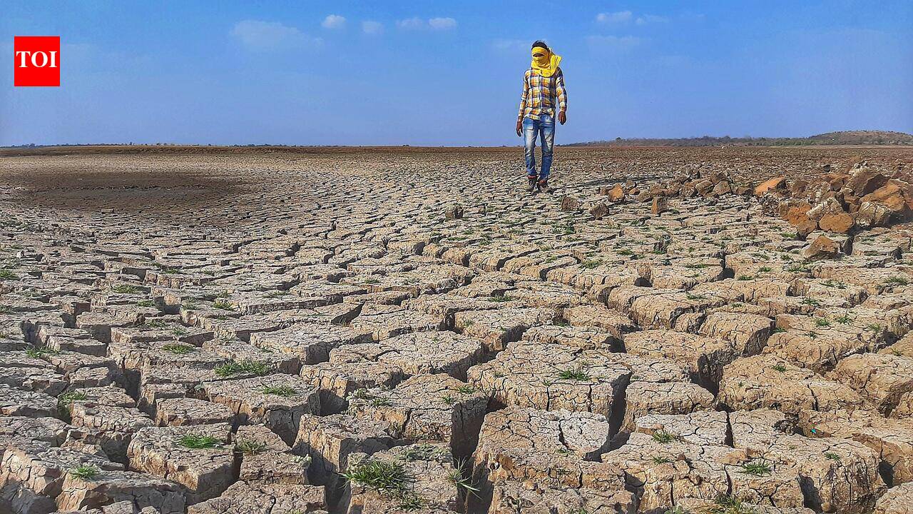 Agriculture, administration experts from Marathwada meet in city to discuss drought impact mitigation steps