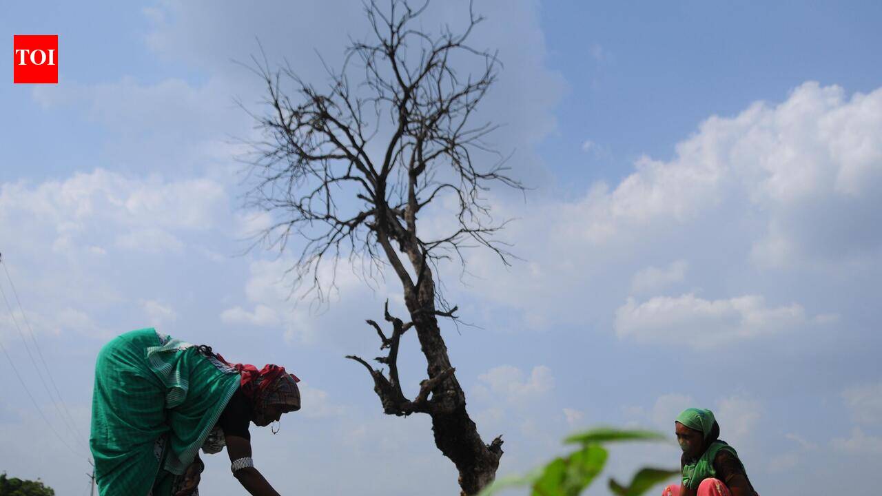 State banking panel plans restructuring agricultural loans to ensure financial relief in drought-hit talukas