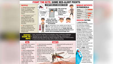 Dengue spikes to 67 cases in Panchkula