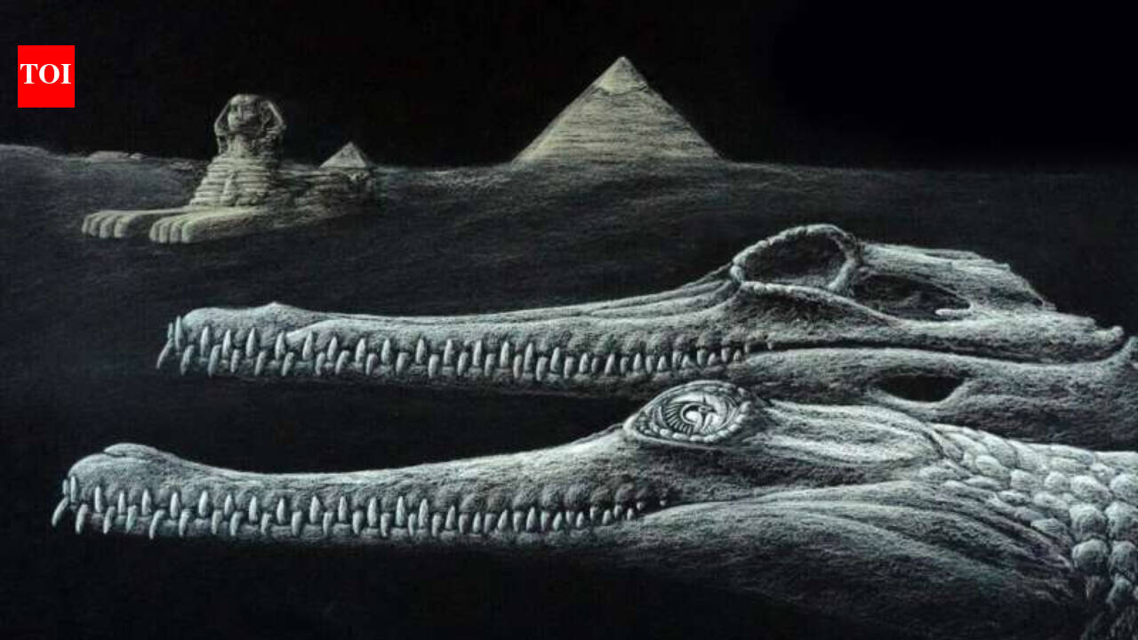 New extinct crocodile found in Sphinx rocks, with a missing snout tip