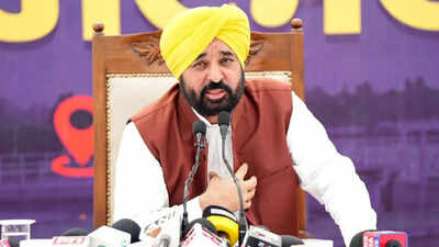 'Cash-for transfers' WhatsApp chats part of CBI dossier on Punjab CM Bhagwant Mann OSD