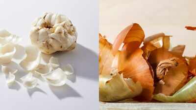 Don’t throw onion and garlic peels! Here are some interesting ways to use these peels