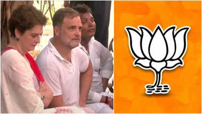 'Inappropriate': BJP turns heat on Rahul Gandhi over 'clash' with female Delhi cop during anti-CEC protest