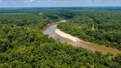 A 2,600-acre South Carolina timber property at the rivers where Revolutionary War commander Francis Marion hid from British forces has been transferred to the state, advancing a 7,600-acre conservation project with 60+ miles of riverfront