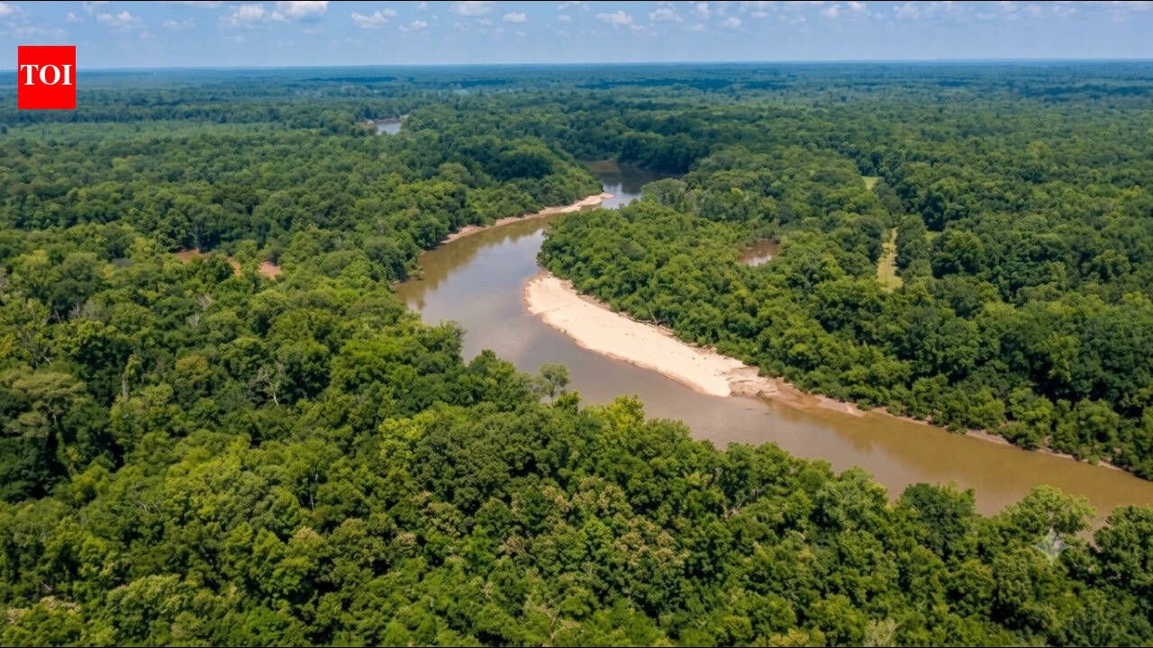 South Carolina transfers 2,600 acres of Francis Marion's wartime hideout for conservation