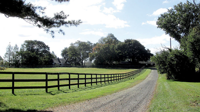 Jon Stewart and his wife Tracey paid $4 million for a historic 45-acre New Jersey farm in 2016; the property now grows crops and cares for rescued cows, sheep, goats, pigs and chickens through their sanctuary foundation