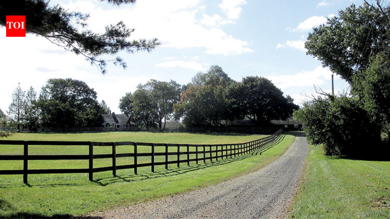 Jon Stewart, wife Tracey paid $4m for 45-acre NJ farm; now grows crops, rescues animals