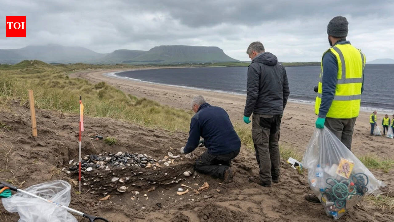 In 2015, volunteers removing litter from an Irish beach spotted an ...
