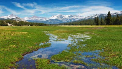 Scientists planted 40,000 native seedlings in Yosemite's damaged Tuolumne Meadows; three years later, soil organic matter was improving, but the meadow was still losing more carbon than it gained