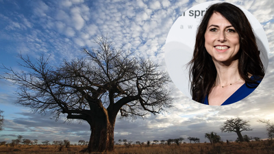 MacKenzie Scott gave Maliasili $15 million after an earlier grant helped create a conservation fund; that fund has since backed 28 organisations
