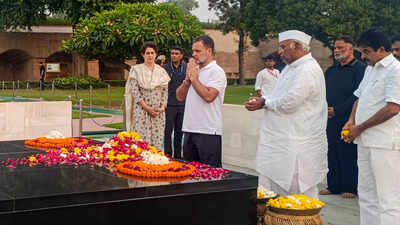'Dhappa' gets a Day 3 twist as police allow Rahul, INDIA bloc MPs to protest at Raj Ghat