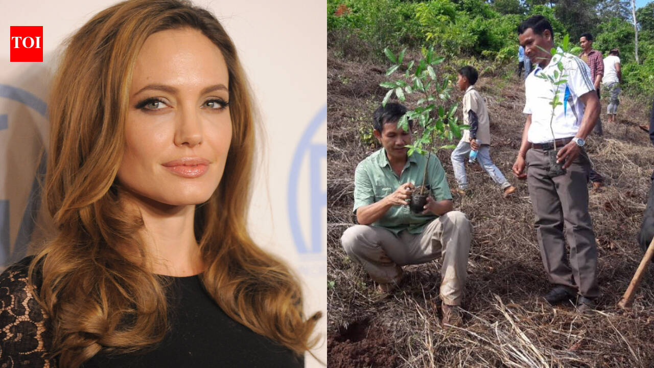 Angelina Jolie’s 'quiet' mission to save a Cambodian forest is proving that one person can actually change the world.