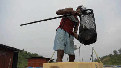 India to come out with a national plan to boost small-scale fisheries sector