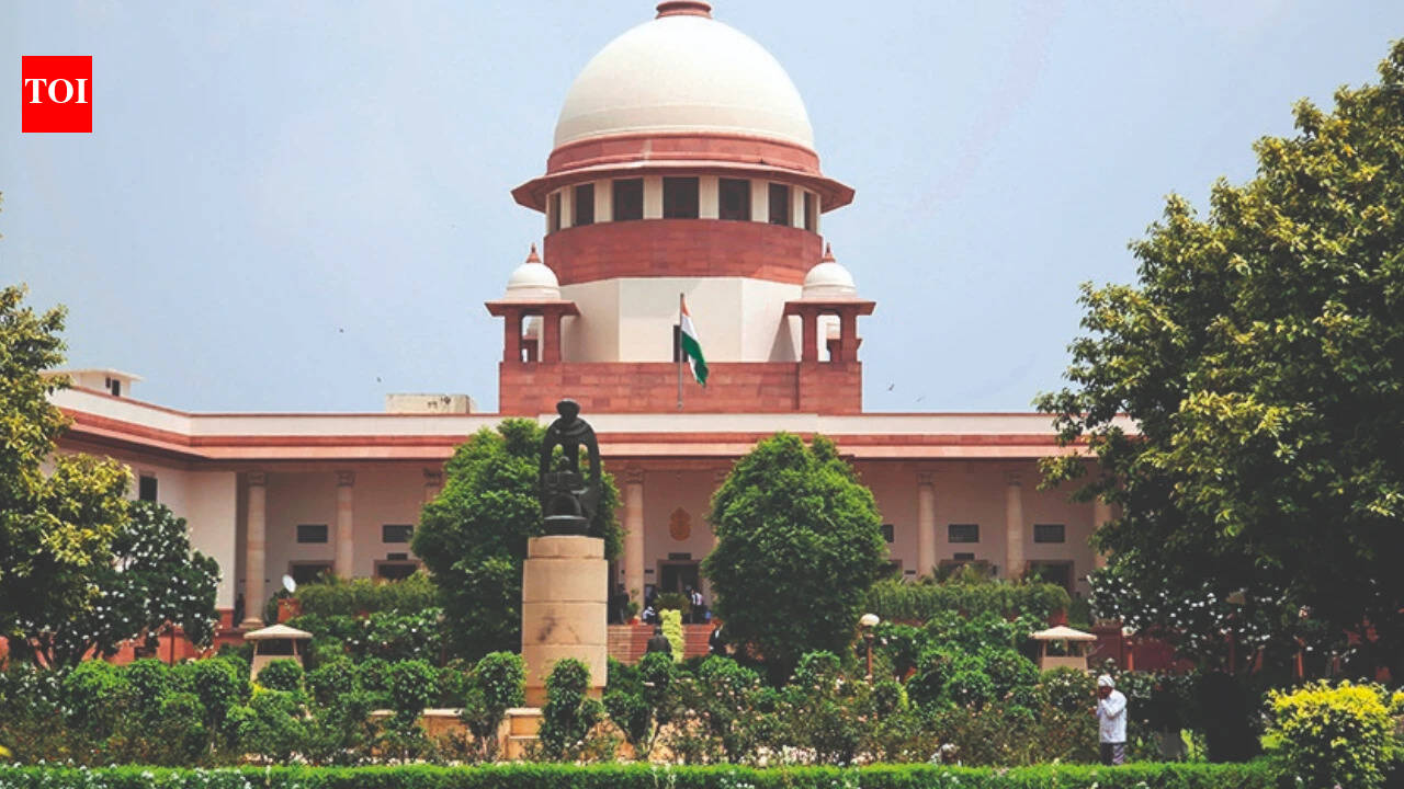 Increase in crime due to SC's forgiving nature: Top court judge