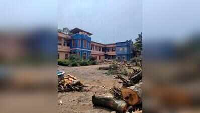 46 trees felled for campus works