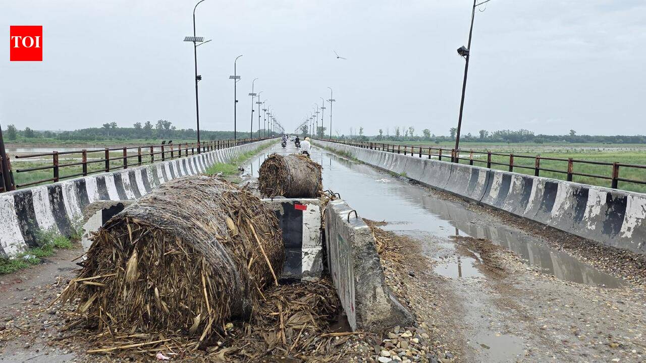 ‘May collapse anytime’: HR panel seeks action on Satluj bridge