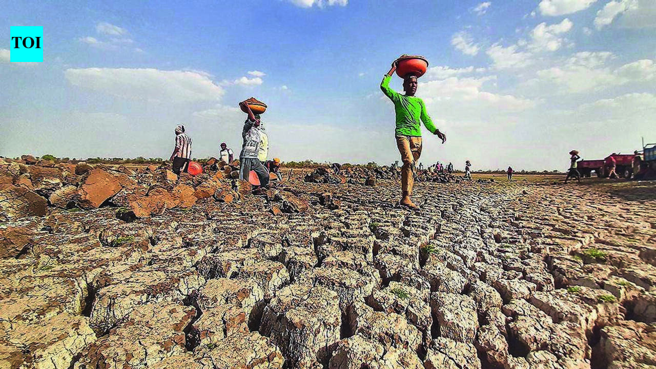 India’s ‘second summer’ is here: Large parts of country see above-normal heat